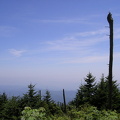 2006-08-26 020